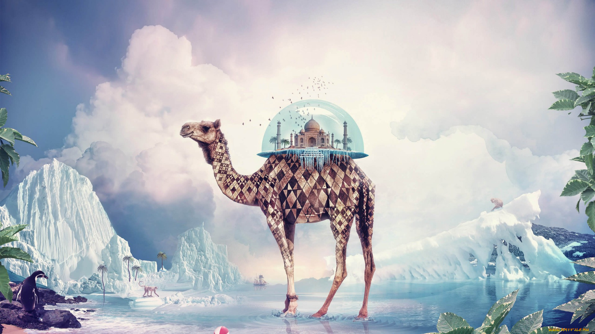 fantasy camel, , , 